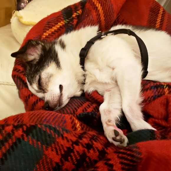 I'M DENISE... - Picture 13 of 13